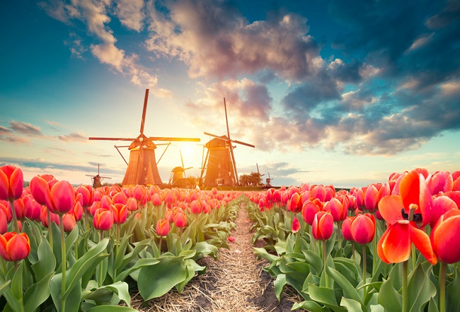 Landscape of holland